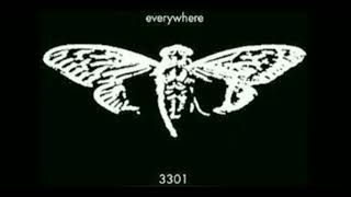 Cicada 330149 [upl. by Noseimaj987]