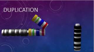 CHROMOSOMAL STRUCTURE DELETIONS DUPLICATIONS TRANSLOCATIONS INVERSIONS [upl. by Marianne565]