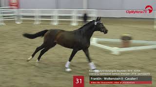 31 Hengst v Franklin  Wolkenstein II  Cavalier [upl. by Peer882]