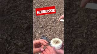 Meerwasser metaldetecting sondeln meer wasser zimyoutube DETEKTORENSHOP [upl. by Dorolisa]