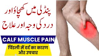 Calf Muscles Pain Treatment amp Physiotherapy  Pindli dard ki wajah or ilaj  UrduHindi  Dr Faisal [upl. by Yelrebmik]