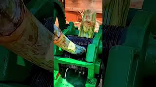 Sugarcane juicing process Good tools and machinery make the work easy [upl. by Tareyn]