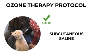 How to inject ozone saline into a dog [upl. by Esimaj848]