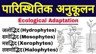 पारिस्थितिक अनुकूलन Ecological Adaptation Ecological Adaptation in plants  paristhitik anukulan [upl. by Lonne]