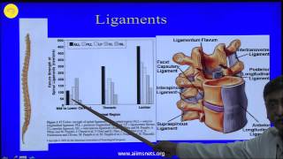 Dorsal and Lumbar Pedicles  Surgical Anatomy [upl. by Michella]