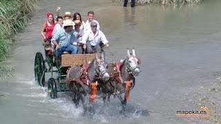 ROMERIA ROCIERA en ARCHENA en honor a la Virgen del Rocío [upl. by Ojaras]