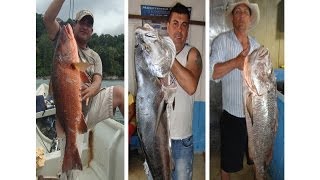 PESCA nei FOSSI ANGUILLA a BOLOGNESE [upl. by Hervey]