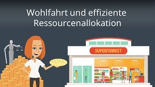 Ökonomische Wohlfahrt und Ressourcenallokation  Wohlfahrtstheorie einfach erklärt [upl. by Drofnats896]