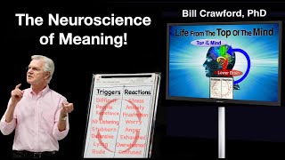 The Neuroscience of Meaning [upl. by Anelem219]