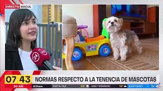 Ley de tenencia responsable de Mascotas Ley Chilito  TVN  Valeria Morillo [upl. by Nitsyrk]