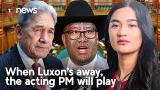 NZ politicians debate over te reo Māori in the House  1News [upl. by Nuris]