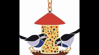 PerkyPet Bird Feeder birdfeeder birdlovers [upl. by Olnton539]