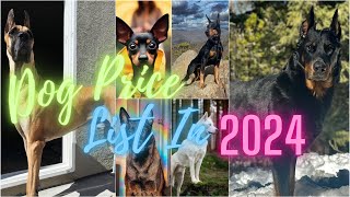 Dog price list in Kerala 2024 part1 നമ്മുടെ ഇഷ്ട്ട ബ്രീടുകളുടെ ഇപ്പോഴത്തെ വില  dog price  India [upl. by Llesirg114]