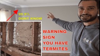 Termites in your house  Warning signs and damage [upl. by Akirret199]