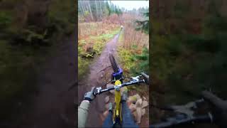 First time biking this enduro trail at kisa bikepark mtb mtblife [upl. by Ecirbaf]