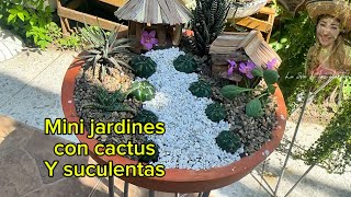 Mini jardines con cactus y suculentas [upl. by Lancey]