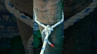 Pratical Knots Trick rope handmade diy subscribe views viralvideo [upl. by Rutherford447]