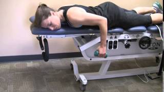 Prone Shoulder Row [upl. by Klenk]