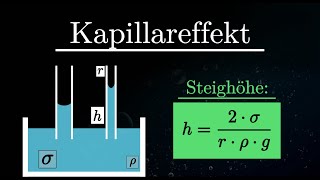 Kapillareffekt EINFACH erklärt  Kapillarität Experiment Oberflächenspannung Physik [upl. by Maller]