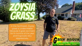 Zoysia Grass Zoysia Grass Control in the Northeast [upl. by Seraphine849]