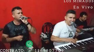 Polka enganchado EN VIVO con LOS MIMADOS [upl. by Sigmund]