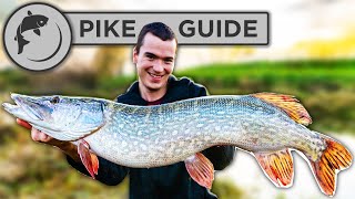 A Beginners Guide To Pike Fishing  Tactics Bait Lures Rigs and Unhooking [upl. by Aleakcim]