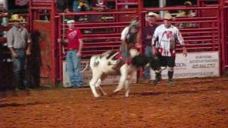 Jr Rodeo calf steer and bullriding [upl. by Kresic23]