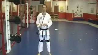 FAST KICK TRAINING  hip and leg strength for Martial Arts [upl. by Aelsel37]