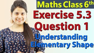 Q 1  Ex 53  Understanding Elementary Shape  NCERT Maths Class 6th  Ch 5 [upl. by Auberon]