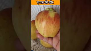 Apple Ki Kheer viralvideo viralshort shortsviral shorts [upl. by Nolyk]