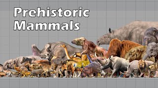 Size Comparison of Animals the Prehistoric Mammals [upl. by Adnerad]