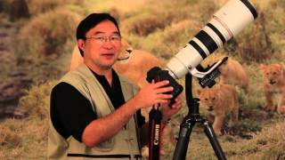 Canon EF 200400mm F4L IS USM Review [upl. by Herm689]