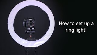 How To Set Up A Ring Light [upl. by Hazrit215]