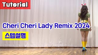 Cheri Cheri Lady Remix 2024 Tutorial 설명영상 [upl. by Eniloj96]