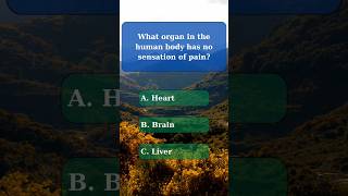 General knowledge quiz part 47 generalknowledge generalknowledgequiz challenge quiz nature [upl. by Jessalin]