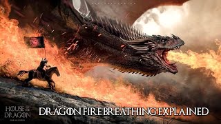 How Dragon Fire is Created in Dragons of HoTD amp GoT [upl. by Oderfigis]