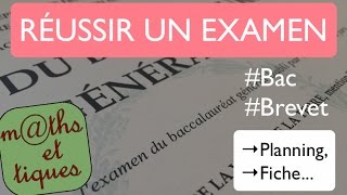 Préparer et réussir un examen  BAC BREVET [upl. by Ahseram513]