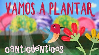 Vamos a plantar  CANTICUÉNTICOS [upl. by Morly375]