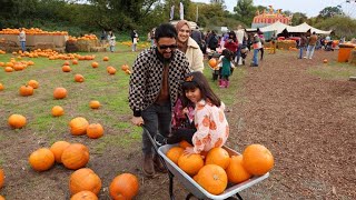 Pumpkin Patch at Hobbledown Heath [upl. by Oecam]