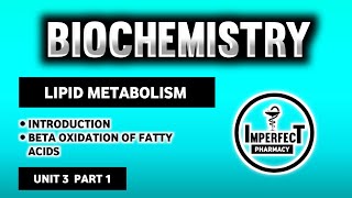 Beta Oxidation Of Fatty Acids  Lipid Metabolism  Biochemistry  B Pharma 2nd Semester [upl. by Adrianna352]