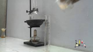 PREPARATION OF NICKEL DIMETHYLGLYOXIME COMPLEX  FEDERAL BOARD PRACTICALS CHEMISTRY  FBISE [upl. by Portie]