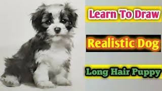 Learn How to draw easy realistic dog  Realistic dog drawing for beginners [upl. by Tench]