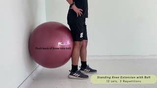 PATELLAR TENDON EXERCISE [upl. by Averyl]