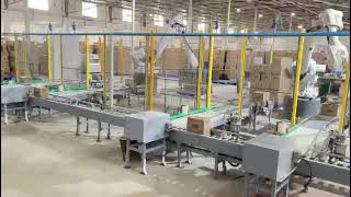 Low cost ABB Robot Palletizer for 10000 boxes shift [upl. by Frieda]