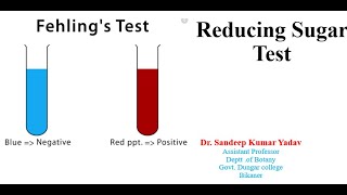 Reducing Sugar test by Fehling solution [upl. by Wemolohtrab]