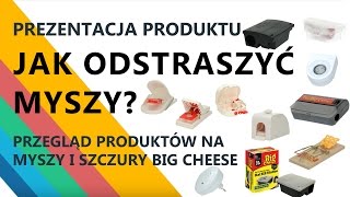 Jak odstraszyć myszy Jak pozbyć się myszy szczurów z domu Sposób na myszy Odstraszacze Big Cheese [upl. by Levitt]