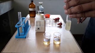 Urine Analysis for Abnormal Constituent Detection of Urine Ketone Bodies  यूरिन टेस्ट फॉर कीटोन [upl. by Irama]