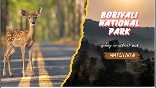 Exploring Sanjay Gandhi National Park The Rental Cycle Disaster Hindi Vlog with Dad [upl. by Ardnahc640]