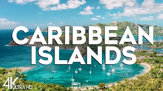 Top 10 Best Caribbean Islands  Travel Video 2024 [upl. by Euqinommod579]