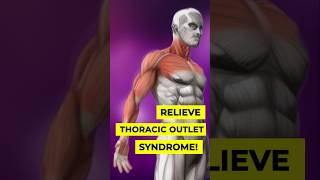 Thoracic Outlet Syndrome Relief Exercises [upl. by Ivie]